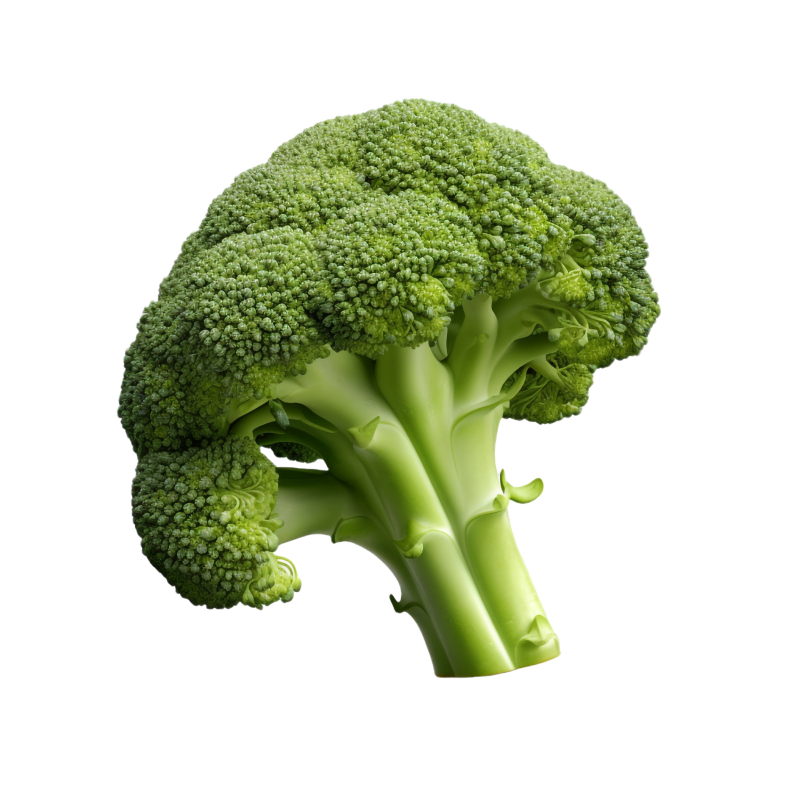 Broccoli