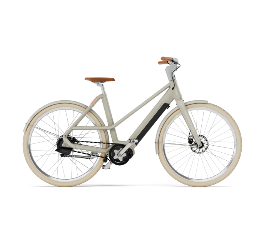 Serene Hybrid Bike